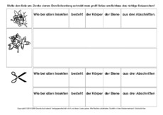 Sätze-umstellen-Honigbiene-2.pdf